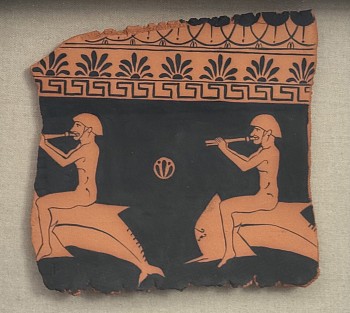 don 0440 aquatic siren i large.jpeg