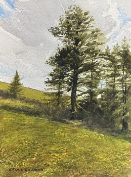 cas 0040 livin in steep country