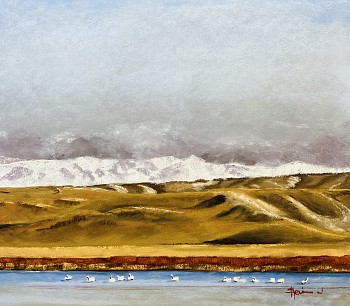 swans on freezeout lake 11x14