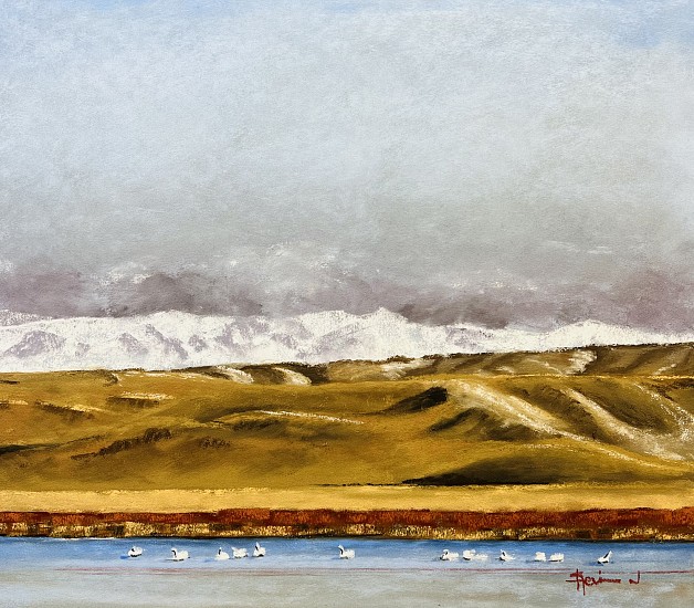 Kevin Jester, Swans at Freezeout Lake
2024, pastel
