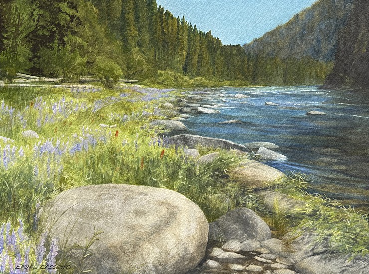 Erin Cassetto, Lupine of the North Fork
2025, Watercolor on Arches