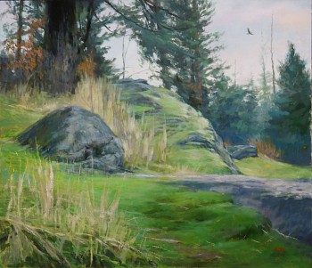 ong 0048 eagle sighting 26x30 300