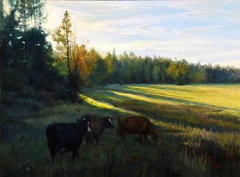 ong 0071 morning shadows 30x40 300 01