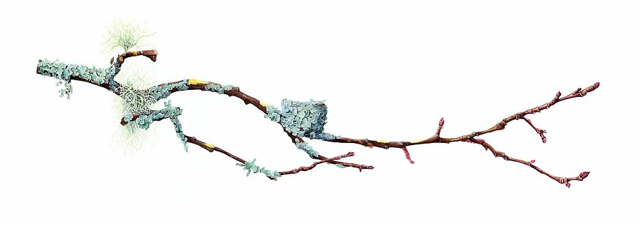 Brittany Finch, Hummingbird Home
2025, watercolor