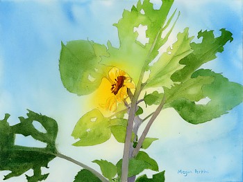 6 & 12 tattered but still glowing