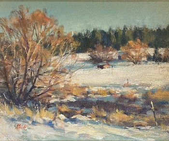 gis 0322 willow in winter