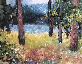 mont 0069 coeur d alene lake grass fields