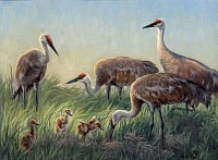 SIMS 0066 The Babysitters Club