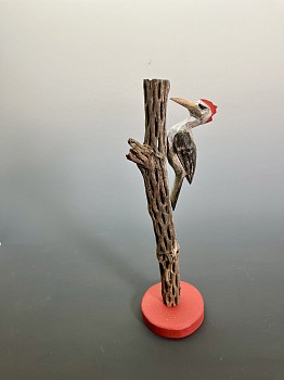 pets 0011 peterson busy redhead.jpeg