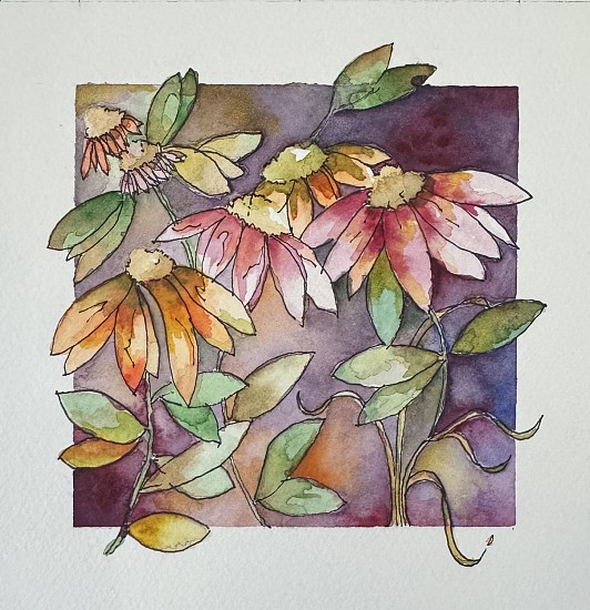 Allan Joubert, Cone Flowers<br />
2025, water color