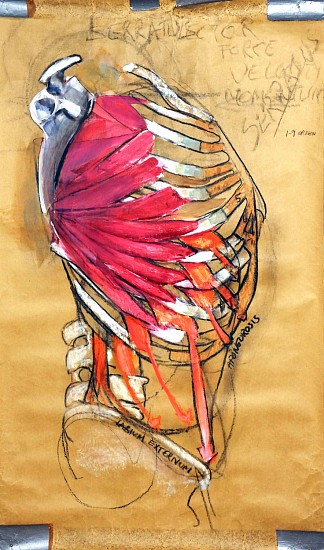 Peter Cox, Serratus
2017, Pastel and charcoal on paper