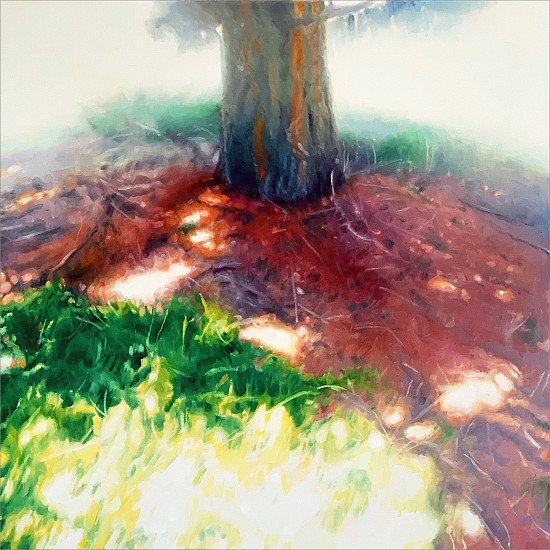 Michael Haykin, Ponderosa Pine 2
2017, oil on canvas