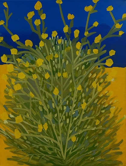 Sheila Miles, Night blooms
2023, oil